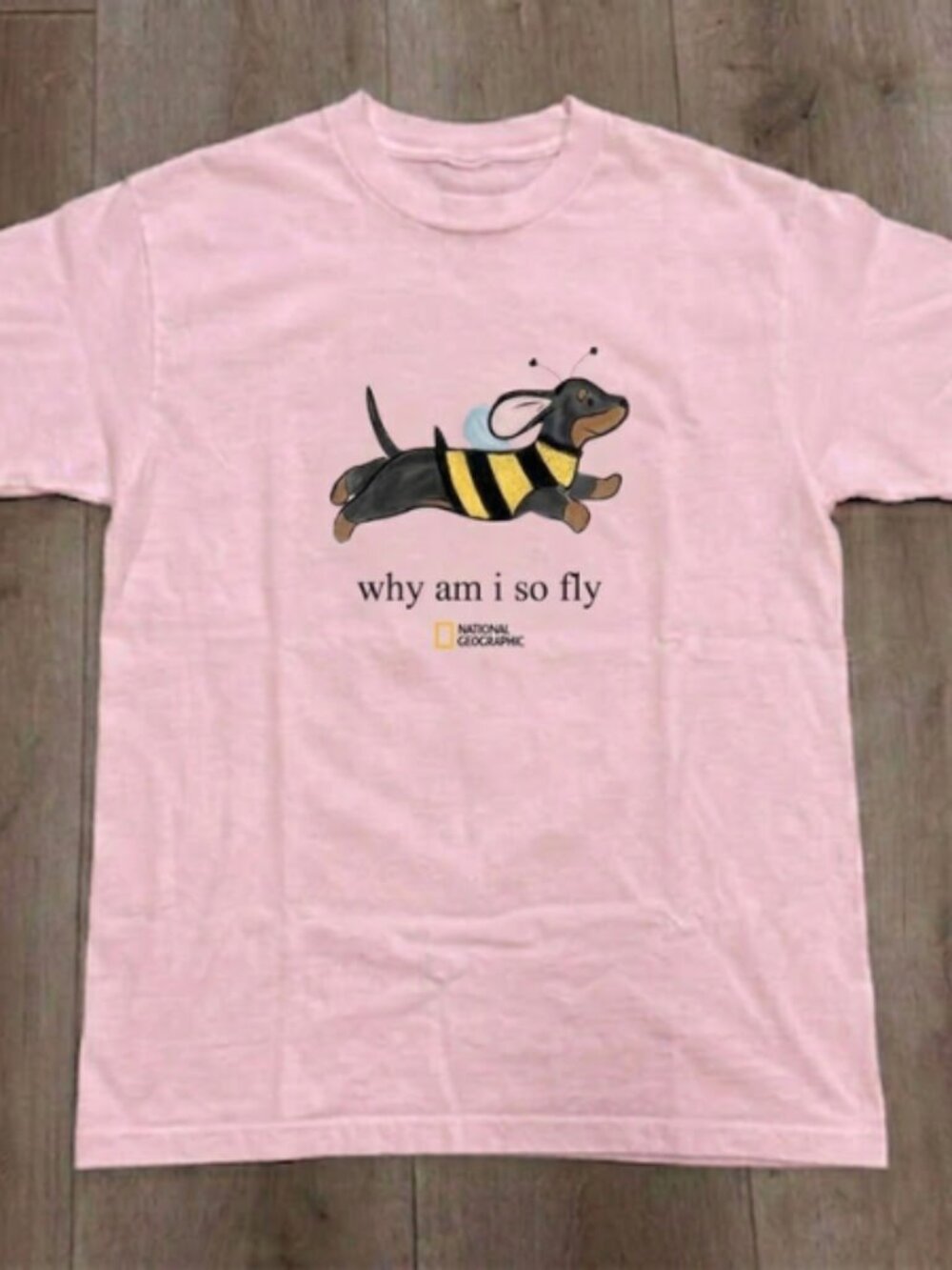 National Geographic "Why Am I So Fly" Dachshund Bee Graphic Tee
